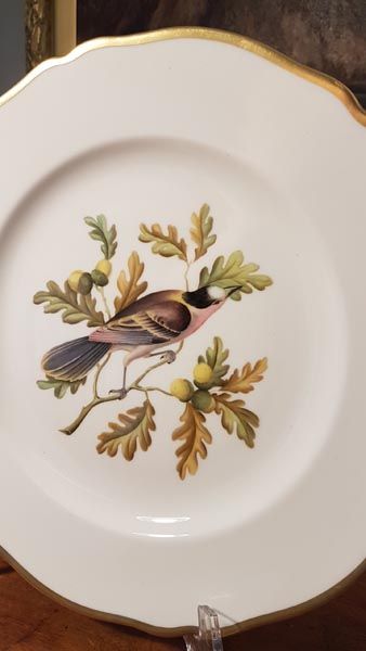 Spode: Spode - bird plates