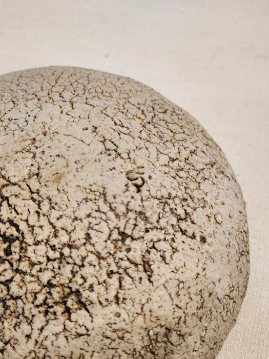 NZ Pottery: Sally Connolly - bowl