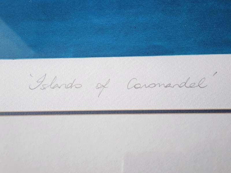 New Zealand Art: Cynthia Taylor