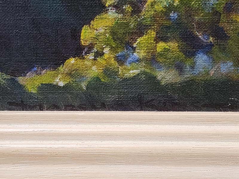 Marcus King: Marcus King - View from Mount Victoria