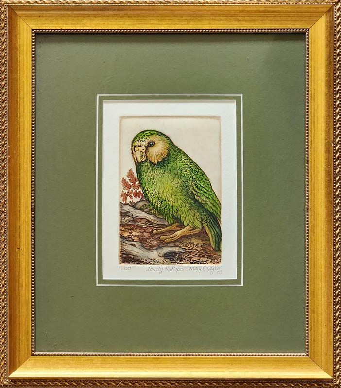 Mary E Taylor - Lonely Kakapo