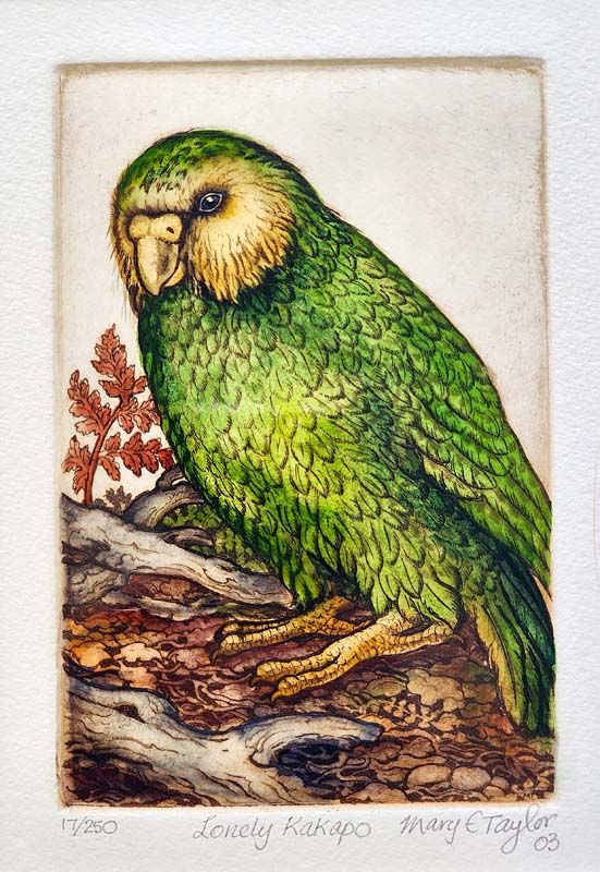 New Zealand Art: Mary E Taylor - Lonely Kakapo