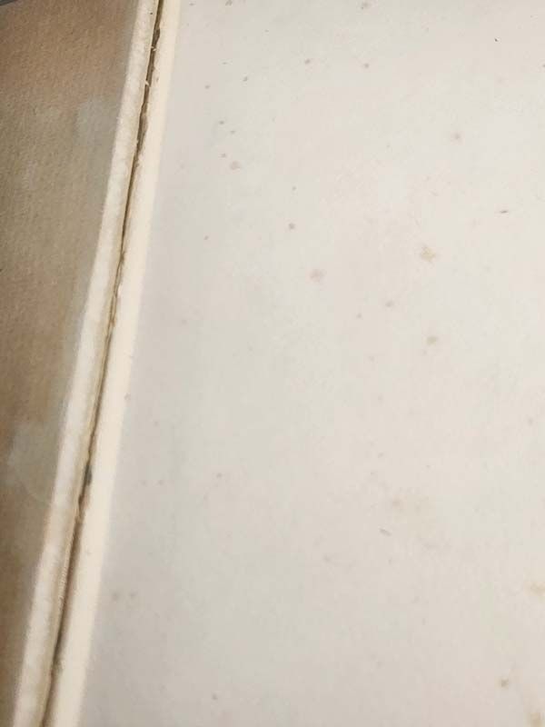 New Zealand books: Romance of Empire New Zealand