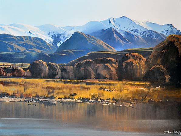 New Zealand Art: Graham Brinsley 