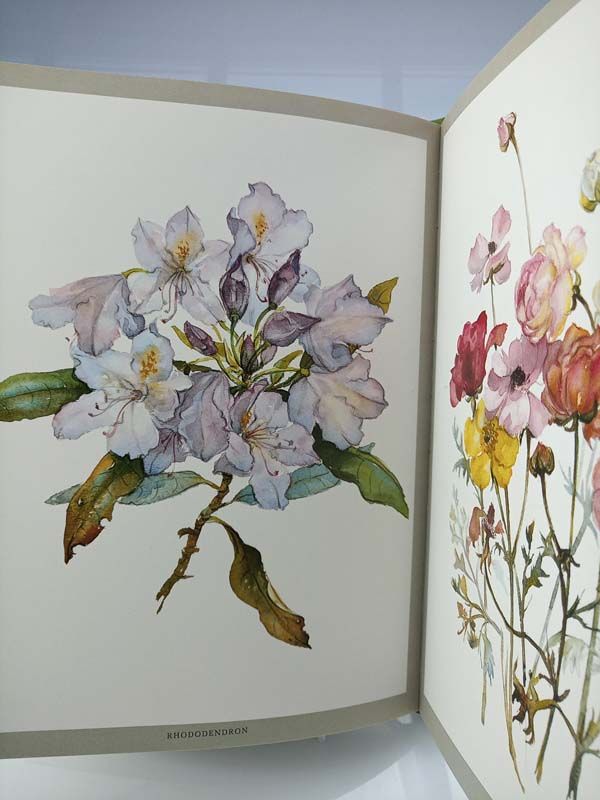 New Zealand books: Auckland is a Garden