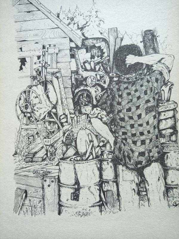 New Zealand books: Arty and The Fox