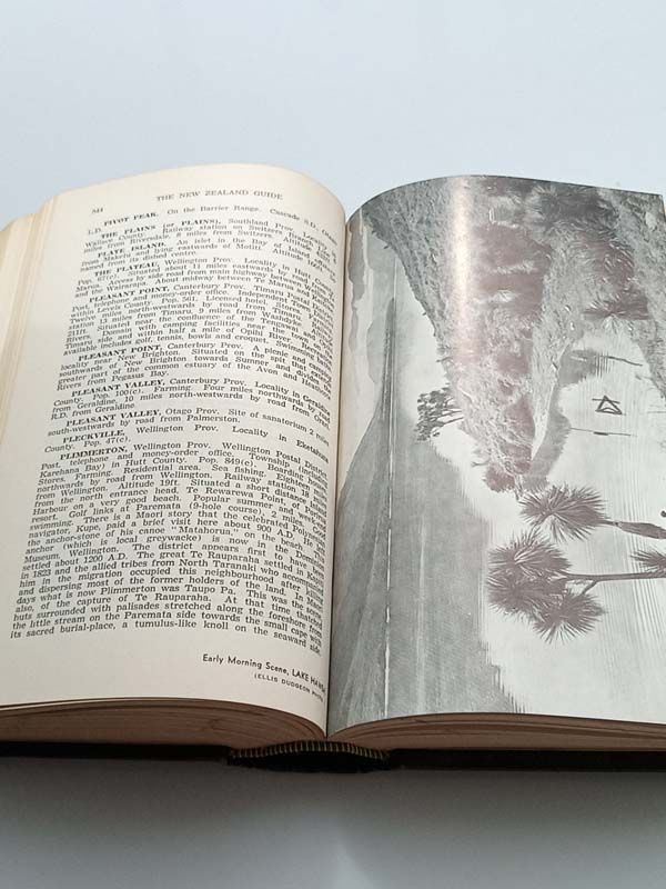 New Zealand books: The New Zealand Guide