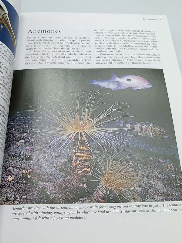 New Zealand books: Natural World of New Zealand 