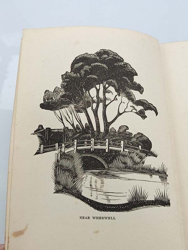 Fishing books: A Summer on the Test