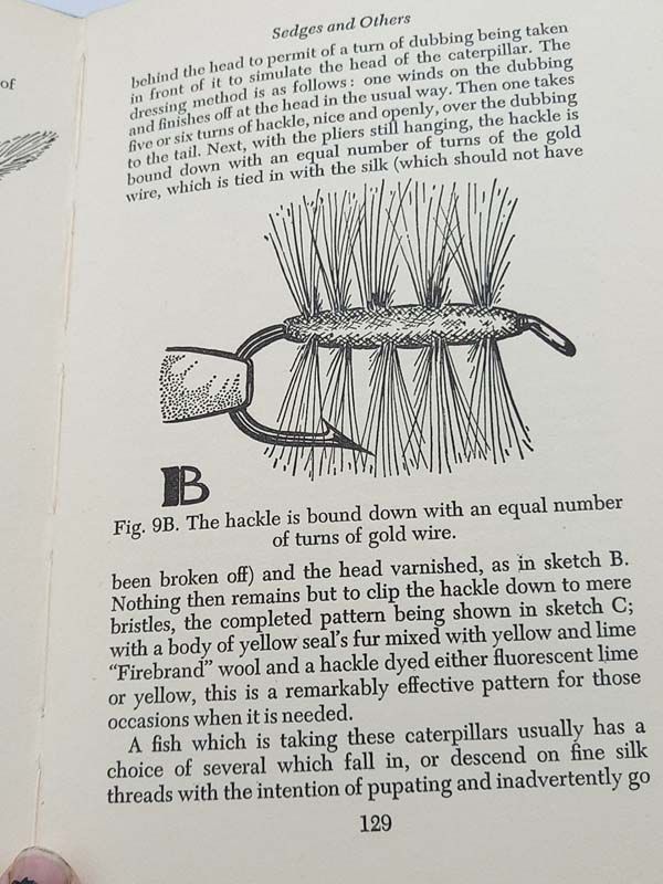 Antique books: Fluorescent Flies