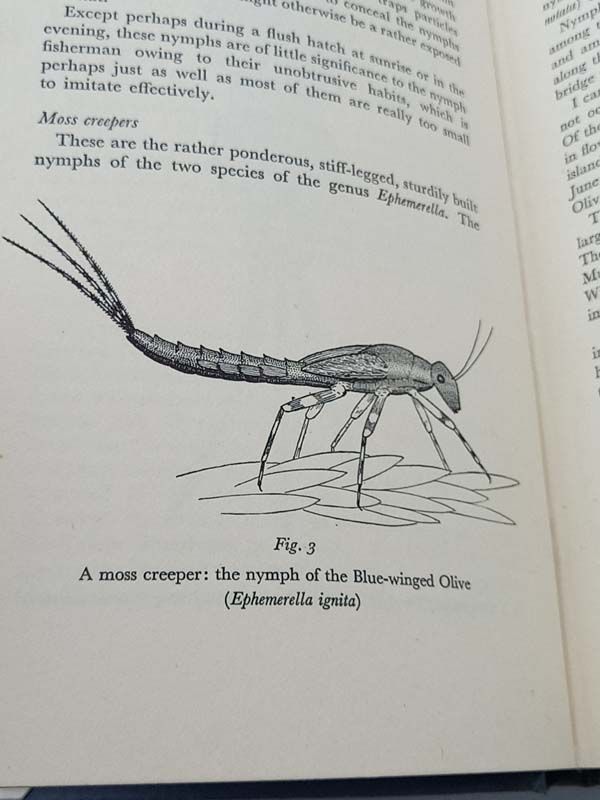 New Zealand books: Nymph Fishing In Practice