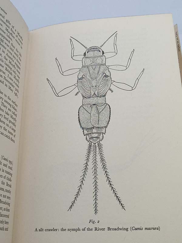 New Zealand books: Nymph Fishing In Practice