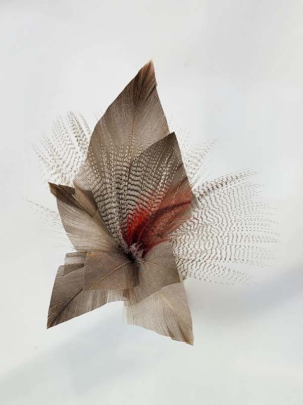Curios: Bullet Feather Brooch