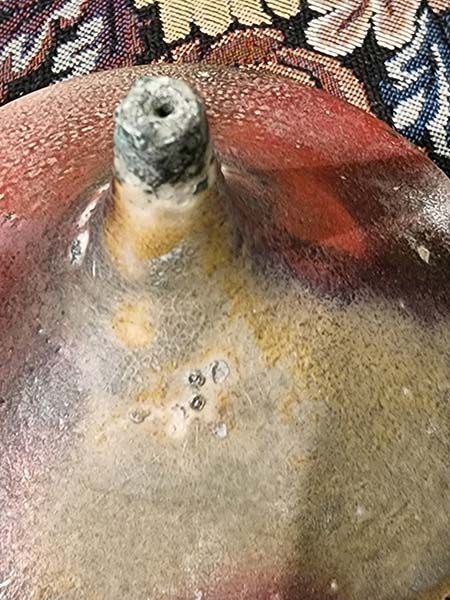 - Signed studio pottery: Celia Parkinson Incense burners