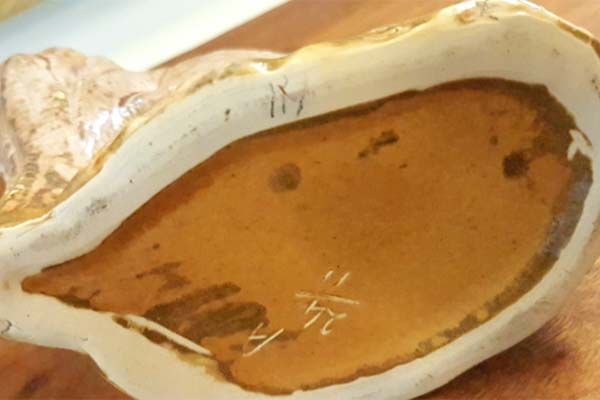 NZ Pottery: Crown Lynn - Kiwi, brown coloured