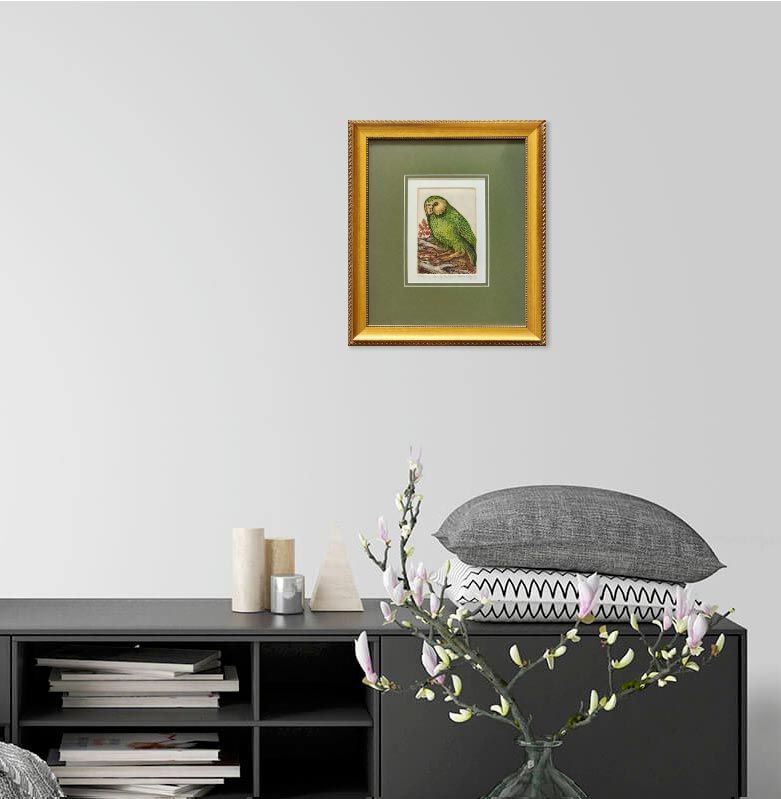New Zealand Art: Mary E Taylor - Lonely Kakapo
