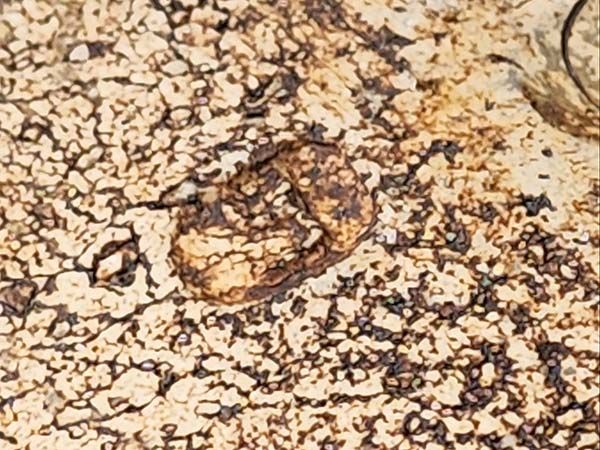 NZ Pottery: Len Castle - Pacific Bowl 