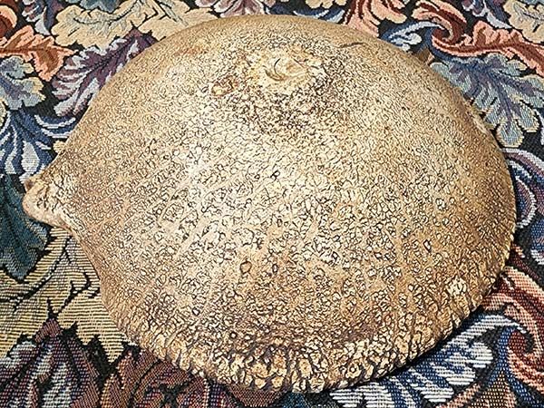 NZ Pottery: Len Castle - Pacific Bowl 