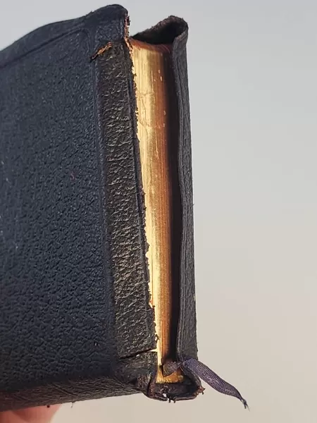 Antiques: Maori Bible 1912