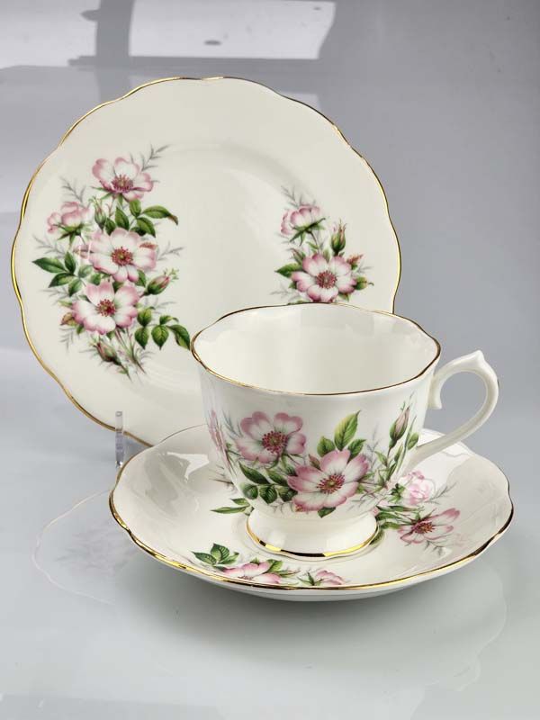 Royal Albert: Wild Rose Trio