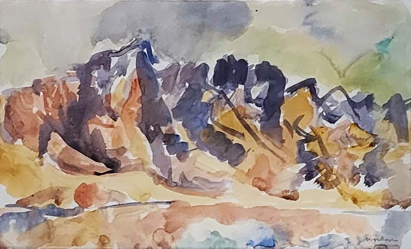 Toss Woollaston &lt;br/&gt;The Remarkables