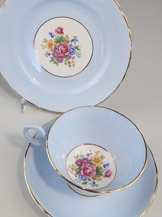 - Other: Tuscan Blue Posey Duo