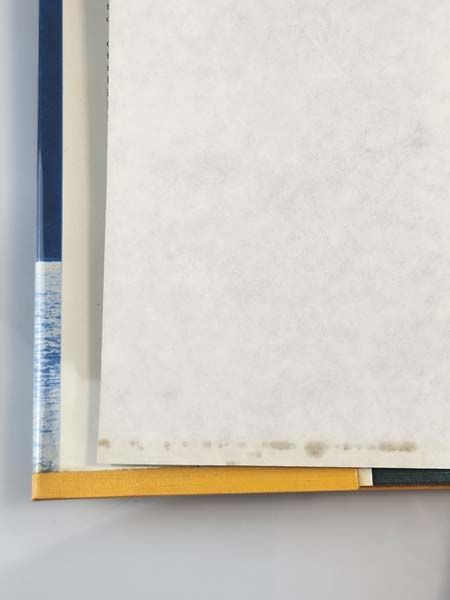 Books: Wild Irishman The Story Of Bill Hamilton, New Zealand Farmer, Inventor, Engineer, And Jet Boat Pioneer